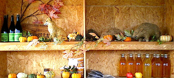 La Boutique du Verger